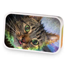 Tension taming decaf sample blend