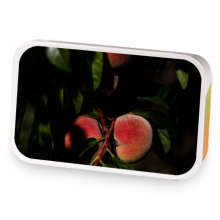 Tropical Peach Oolong sample blend