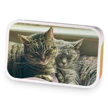 Watermelon Mint Green sample blend