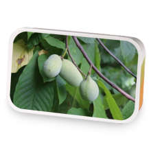 Ohio Pawpaw Party  sample blend