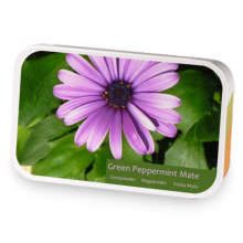 Green Peppermint Mate sample blend