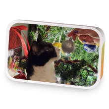 Cup o Christmas sample blend