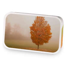 A Second Smoky Maple sample blend