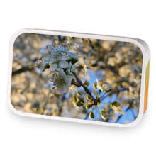 Lucky Strikes and K-Rations sample blend