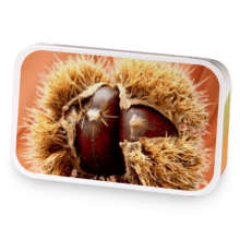 Chestnut Cinnamon Cream sample blend