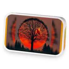 Golden, Orange Sunset  sample blend