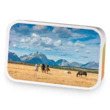 Wyoming Wildlands  sample blend