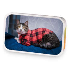 The Cat’s Pajamas sample blend