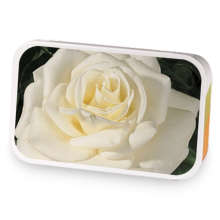 Rose Garden sample blend