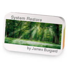 System Restore sample blend