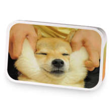 Shiba Feel Good sample blend