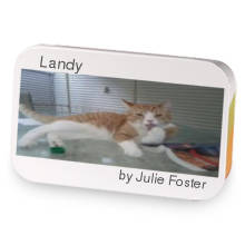 Landy sample blend