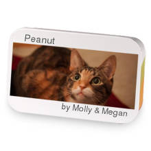 Peanut sample blend