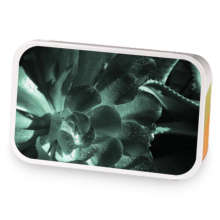 Anastasia sample blend