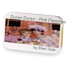Duran Duran - Pink Flamingo sample blend