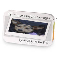 Summer Green Pomegranate Cherry   sample blend
