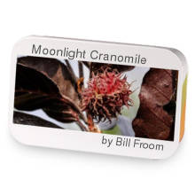 Moonlight Cranomile sample blend