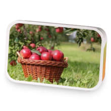 Spiced Apple Cider sample blend