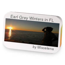Earl Grey Winters in FL sample blend