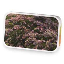 sample blend