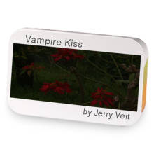 Vampire Kiss sample blend