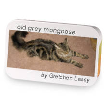 old grey mongoose sample blend
