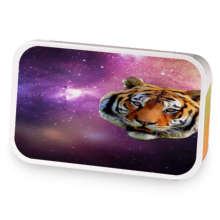 Space Tiger sample blend