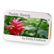 Reddy Steady sample blend