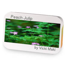 Peach Julip sample blend
