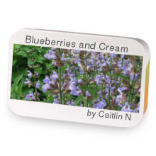 Blueberries and Cream sample blend