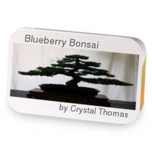 Blueberry Bonsai sample blend