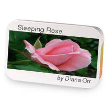 Sleeping Rose sample blend