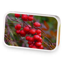 Fresh and Fruity sample blend