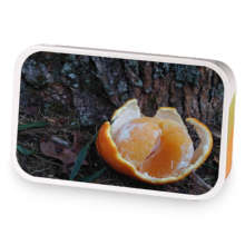 Your Birthday Season sample blend