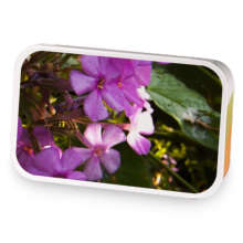 Summer Berries sample blend