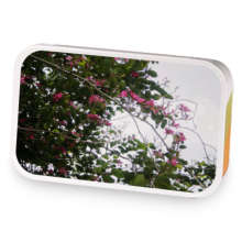 Sweet Gunpowder  sample blend