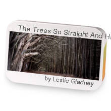 The Trees So Straight And High sample blend