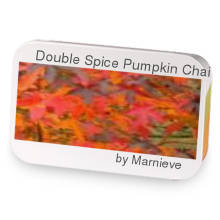 Double Spice Pumpkin Chai sample blend