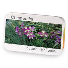 Chamomint sample blend