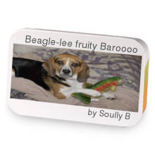 Beagle-lee fruity Baroooo sample blend