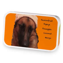 Sasha's Thoughts sample blend